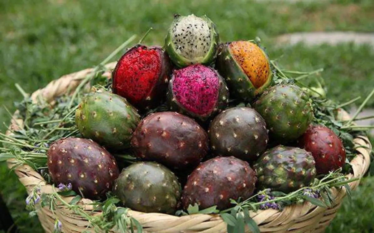 pitaya fruta